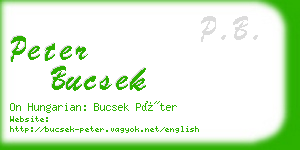 peter bucsek business card